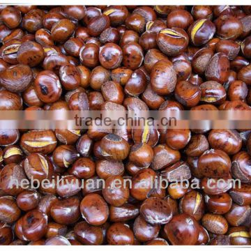 Chinese roasted chestnuts for sale