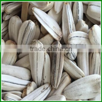 Sale Roasted and Spiced White Striped Sunflower Seeds In Bulk