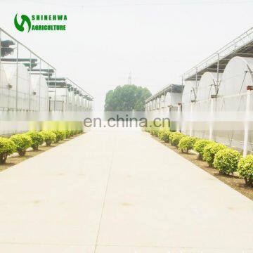 The Cheapest Double Layer Plastic Greenhouse Price