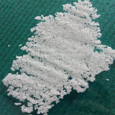 Ammonium Free Calcium Nitrate Crystal