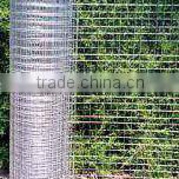 high quality welded wire mesh (competitive price)