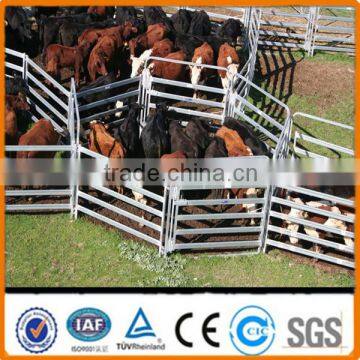 Australia cattle farm equipment