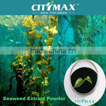 seaweed potassium fertilizers Ascophyllum Nodosum sources