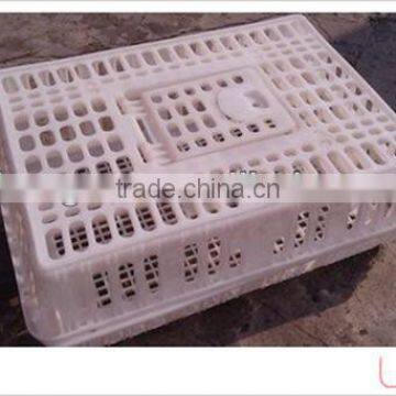 convenient Used of plastic transport chicken cage