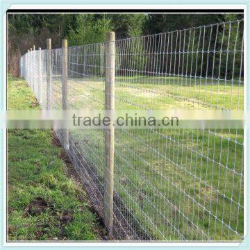 Sheep Wire Mesh Fence/Farm Field Mesh