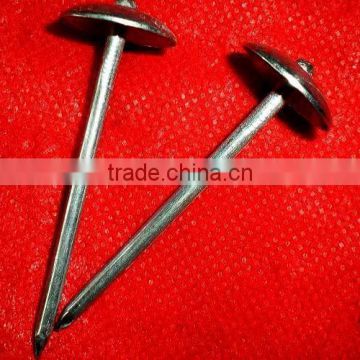 fast sell 2.5"x9bwg kenya market ROOFING NAILS
