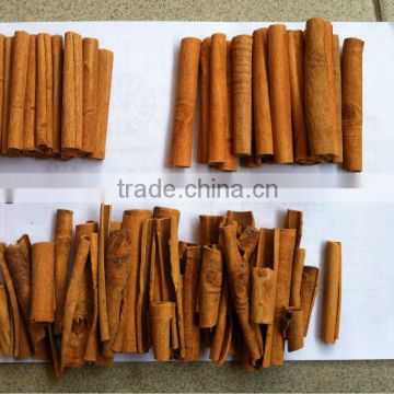 cassia stick(10cm) Chinese manufacturer Homeborn