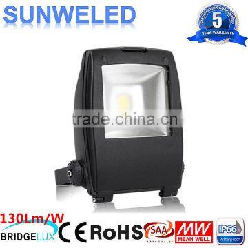 COB Bridgelux 30W LED Penguin Flood Light 10w 30w 50w 70w 80w 100w