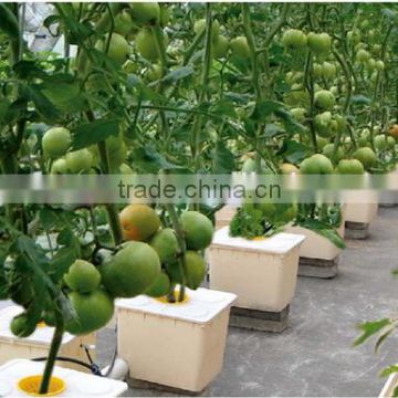 Plastic Dutch Bucket for Hydroponic Growing Systems