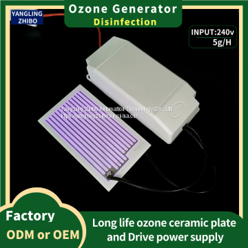110V/240V ozone disinfection 5g Domestic or commercial air purification  machine ozone ceramic plate small ozone generator
