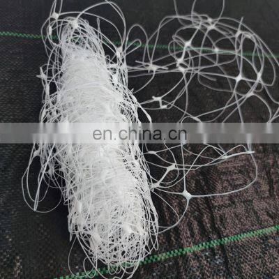 2x10m Pea Bean Netting plastic climbing netting supporting flower plant stem vine fence trellis netting