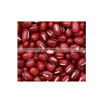High Quality Vietnam Red bean for sale
