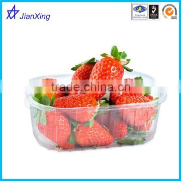 PET dispoable square container for fruit