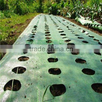 PE WEED MAT CLOTH FOR PROTECT PLANTS