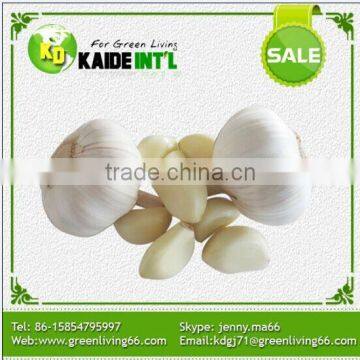 2015 New Garlic Supplier