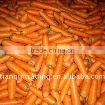 2011 Chinese carrot