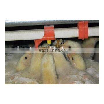automatic broiler chicken poultry equipment