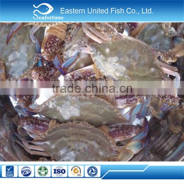 seafood wholesale health high quality swimming crab
