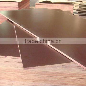 Lianshengwood supply plywood with 17 years that white faced plywood for Russia market sale