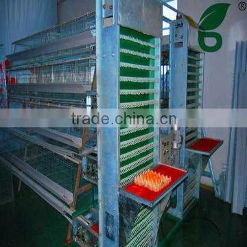 automatic chicken egg collector equipment