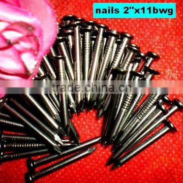 common wire nails