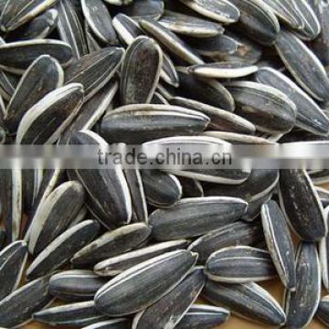 Sunflower Seeds of price in China