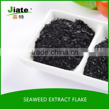 2016 hot selling high soluble seaweed extract fine powder