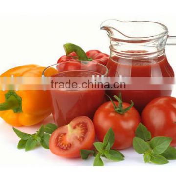 70g-4500g Chinese good quality canned tomato paste 28-30%