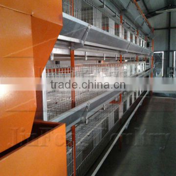 Full Automatic H Type Pullet Farm Cage