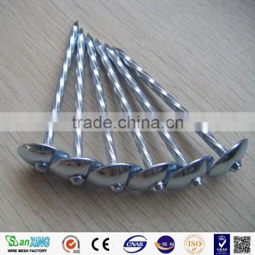 Iron Material and Dome Head Nails Type