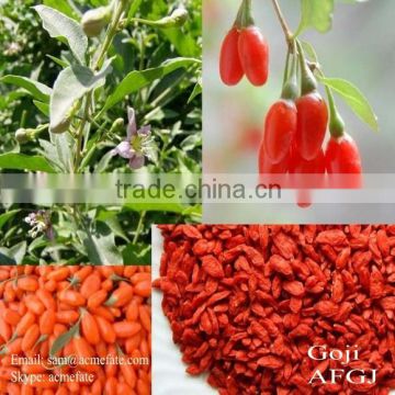 HACCP&ISO hot sell new harvest Ningxia dried goji berry in China