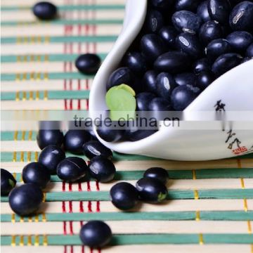 chinese black kidney beans 2015 Crop