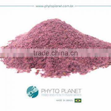 SPRAY DRIED MULBERRY POWDER