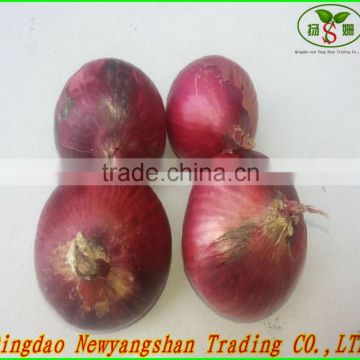 Onion Fresh /2015 Onion/Exports in southeast Asia/dubai