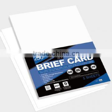 Card - Brief Card (CAMPAP)