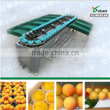 Yeollow peach sorting machine YSXS-38-7-50