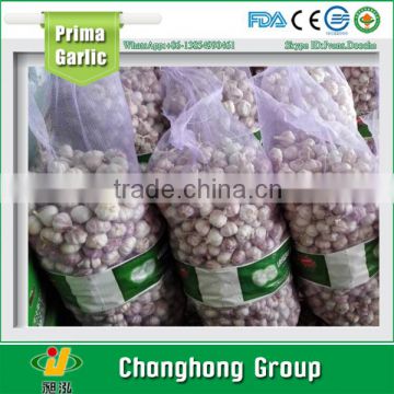 normal white garlic 3-4 cm with lowest price