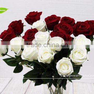 GNW FL-RS70-8CM White elegant indian rose flower for wedding party