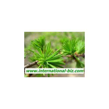 Water Soluble Pine needle protein 80%