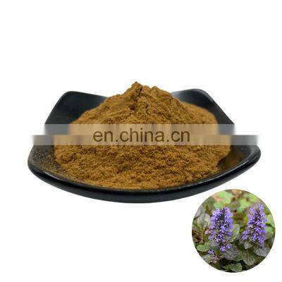 Top Quality Wholesale Price 100% Natural Ajuga Turkestanica Extract Turkesterone 2% 10% 20% Hot Sale