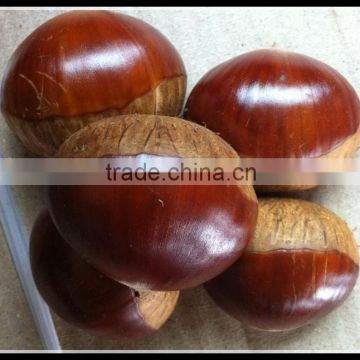 China Chestnut For Sale, Snack Chestnut