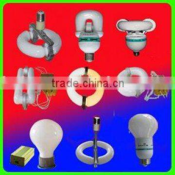 Magnetic induction lamp with dual CCT