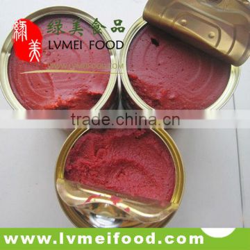 canned tomato paste(canned food)