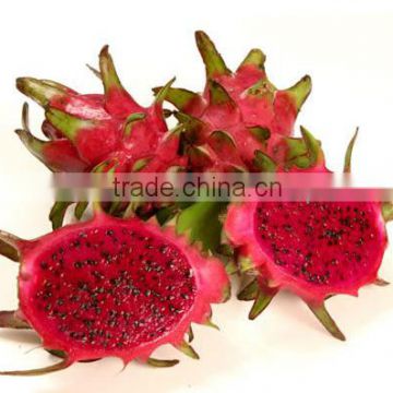 Pure natural red Pitaya