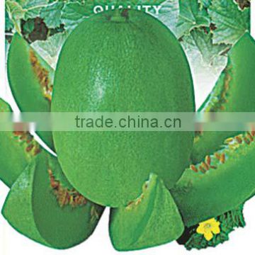 Hybrid green melon seeds for growing honey No.4
