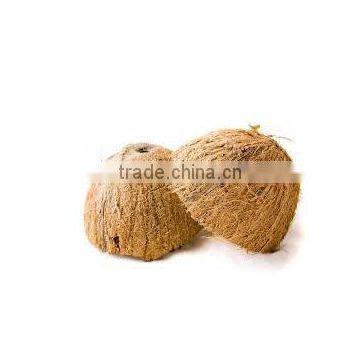 High Quality Decilious Cheap indian coconut shell