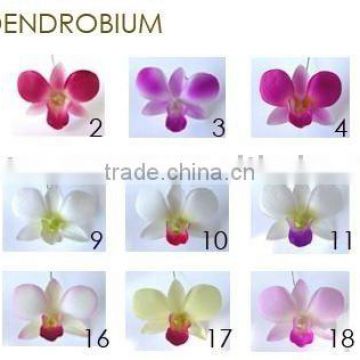 Dendrobium artificial Orchid Hawaiian flower, Foam Flowers