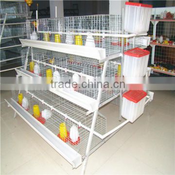 Good ventilating ability A type automatic chicken cage for Nigeria