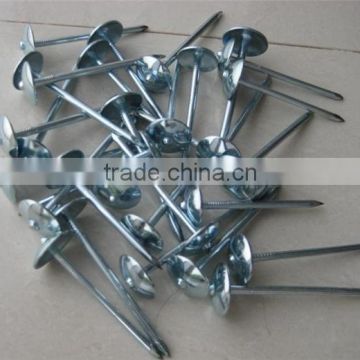 High quality EG smooth roofing nails