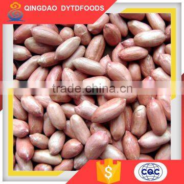 All Normal Sizes Snack Chinese Four Kernel Red Skin Peanut 40/50